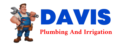 Trusted plumber in LONE